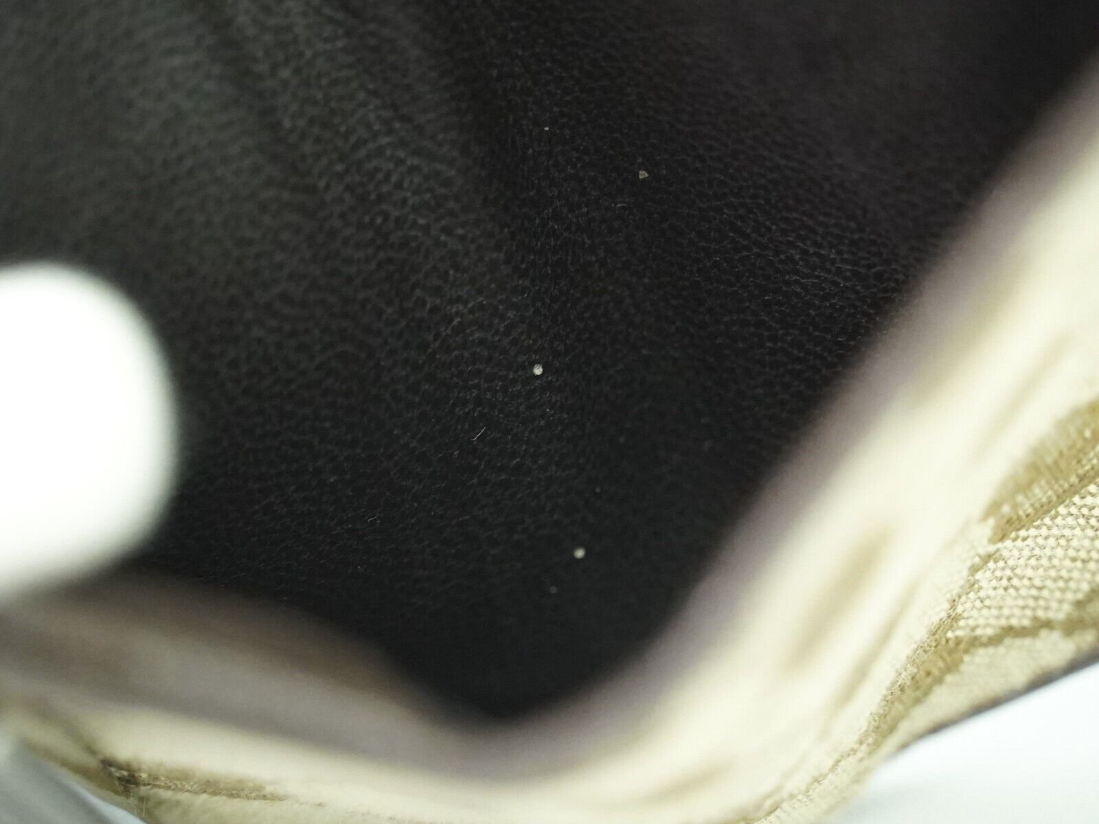Gucci GG canvas