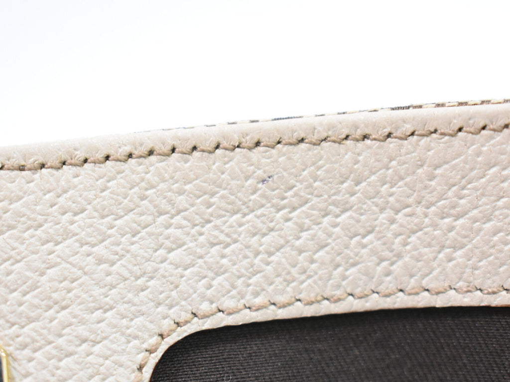 Gucci GG canvas