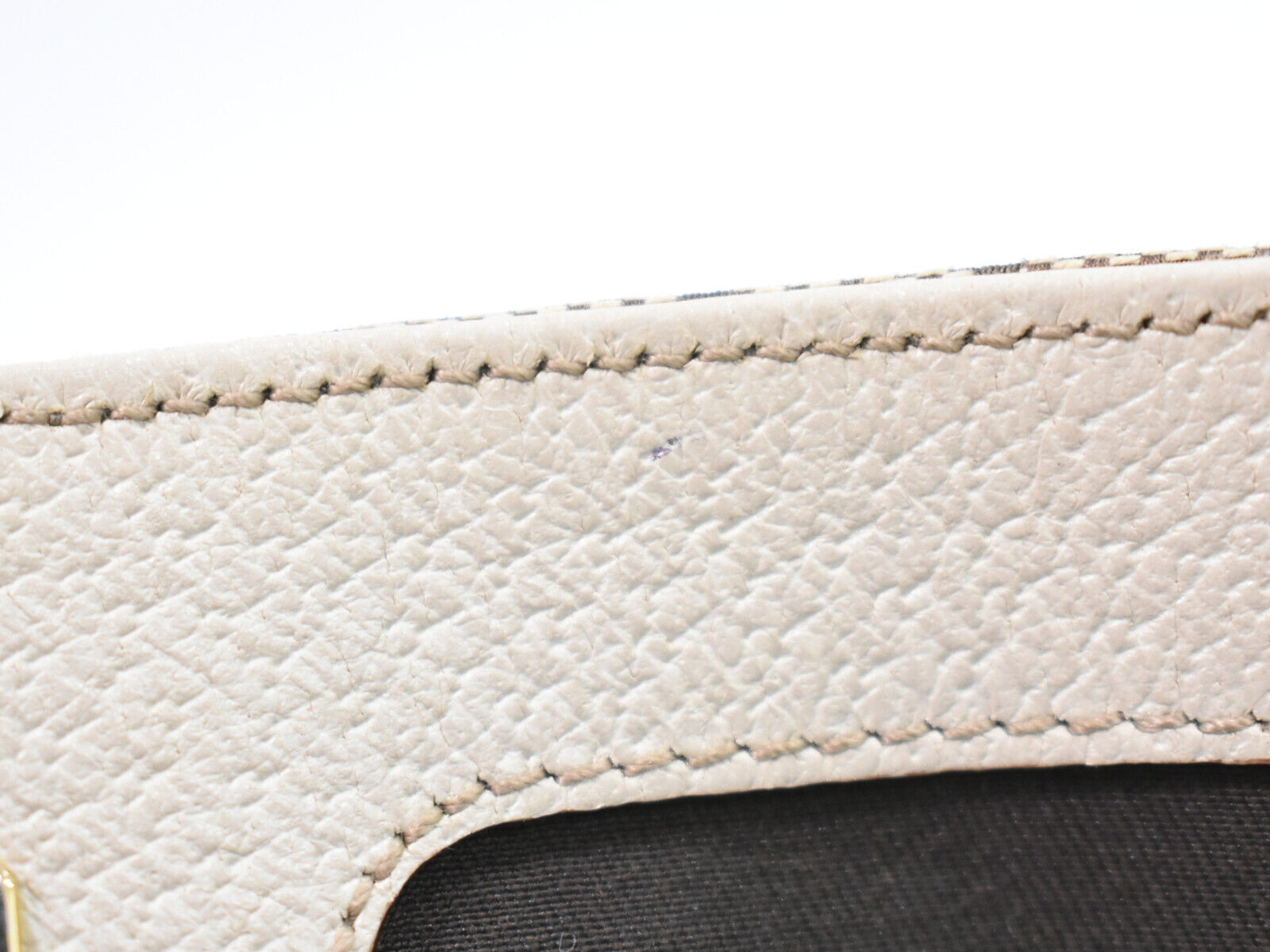 Gucci GG canvas