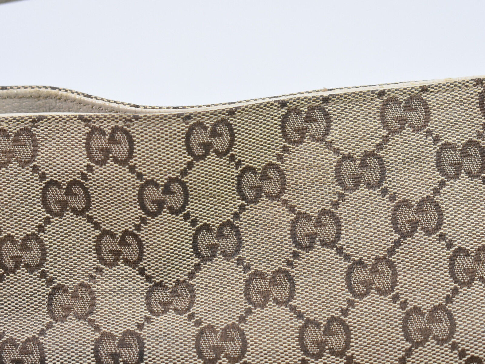 Gucci GG canvas