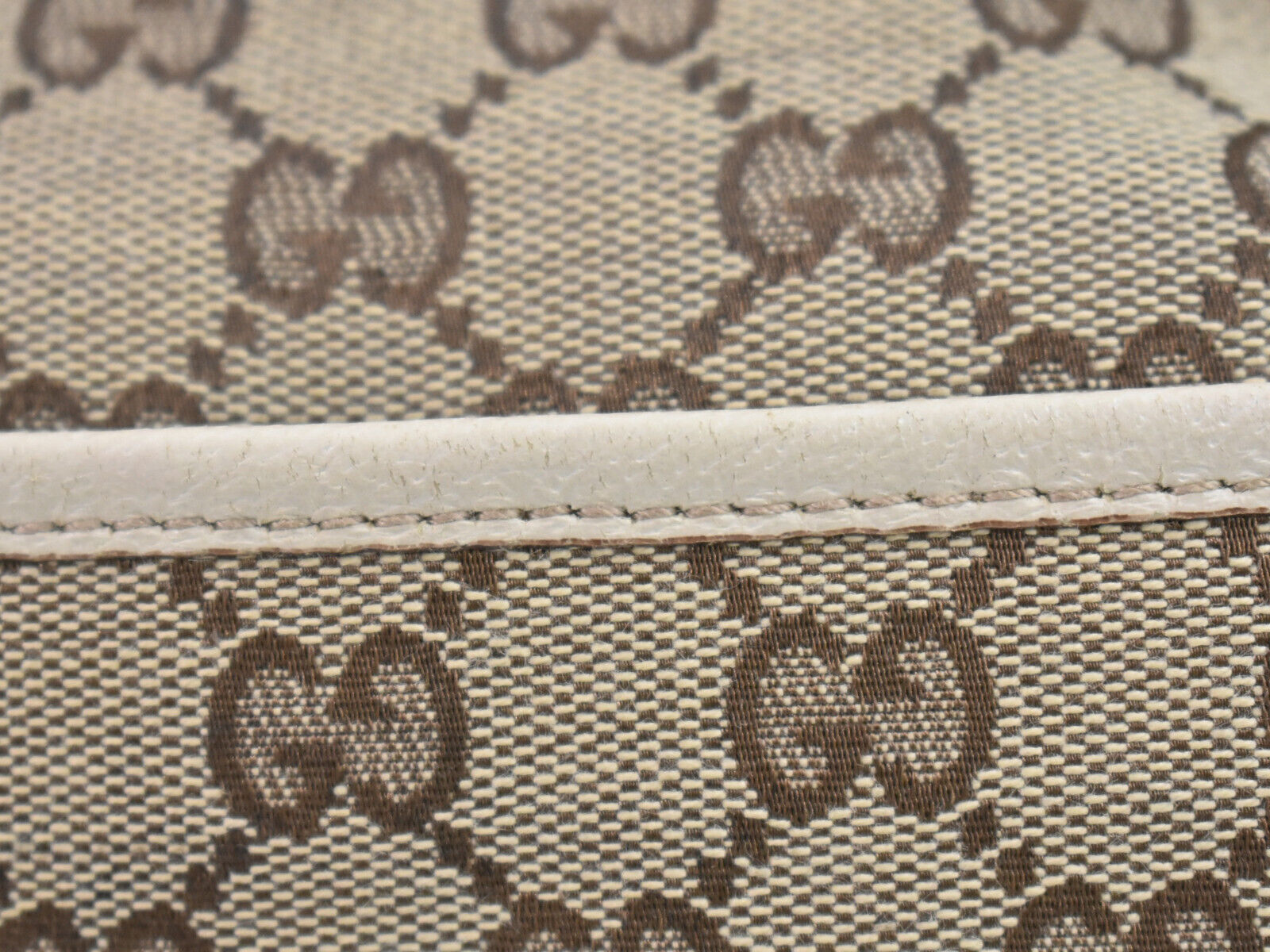 Gucci GG canvas