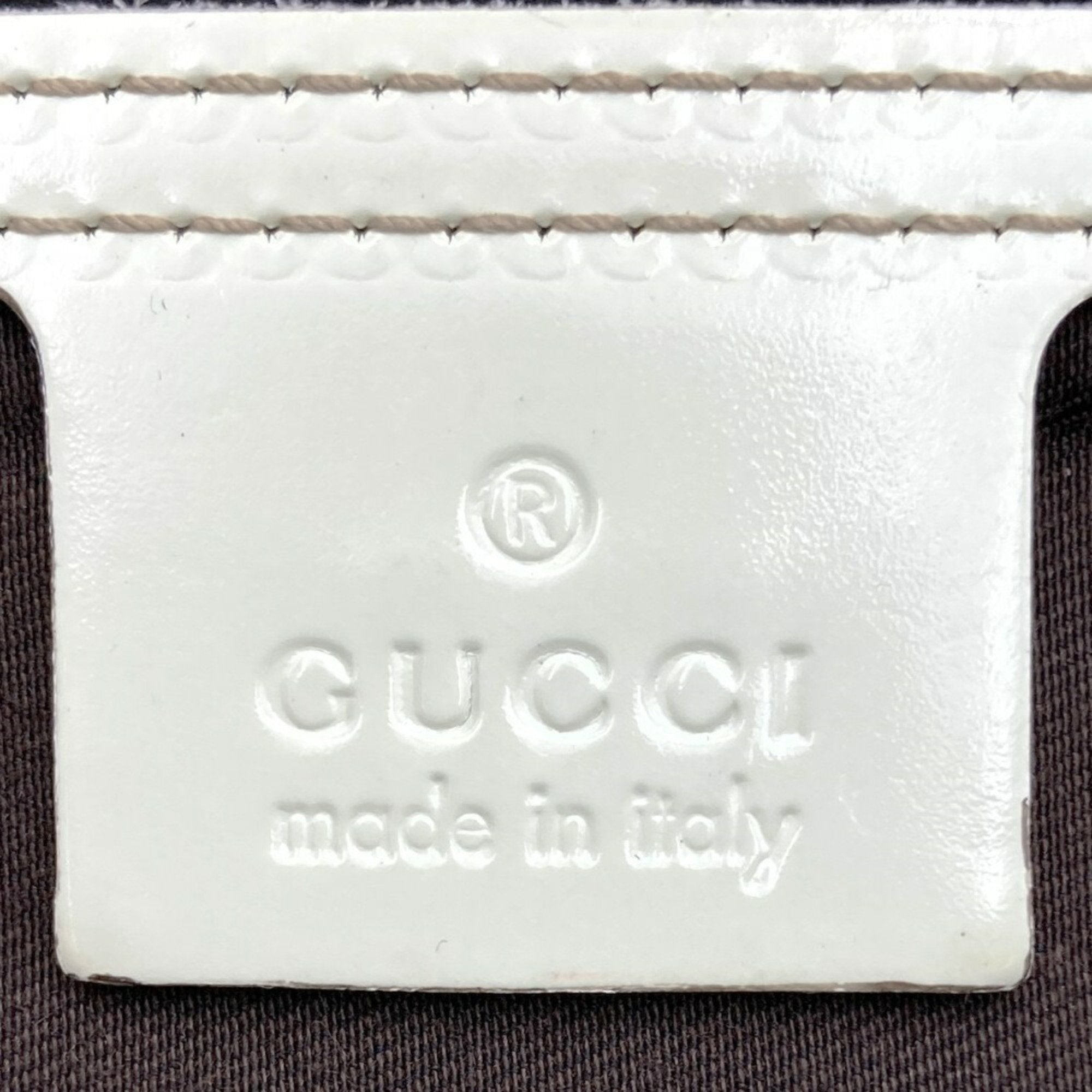 Gucci GG canvas