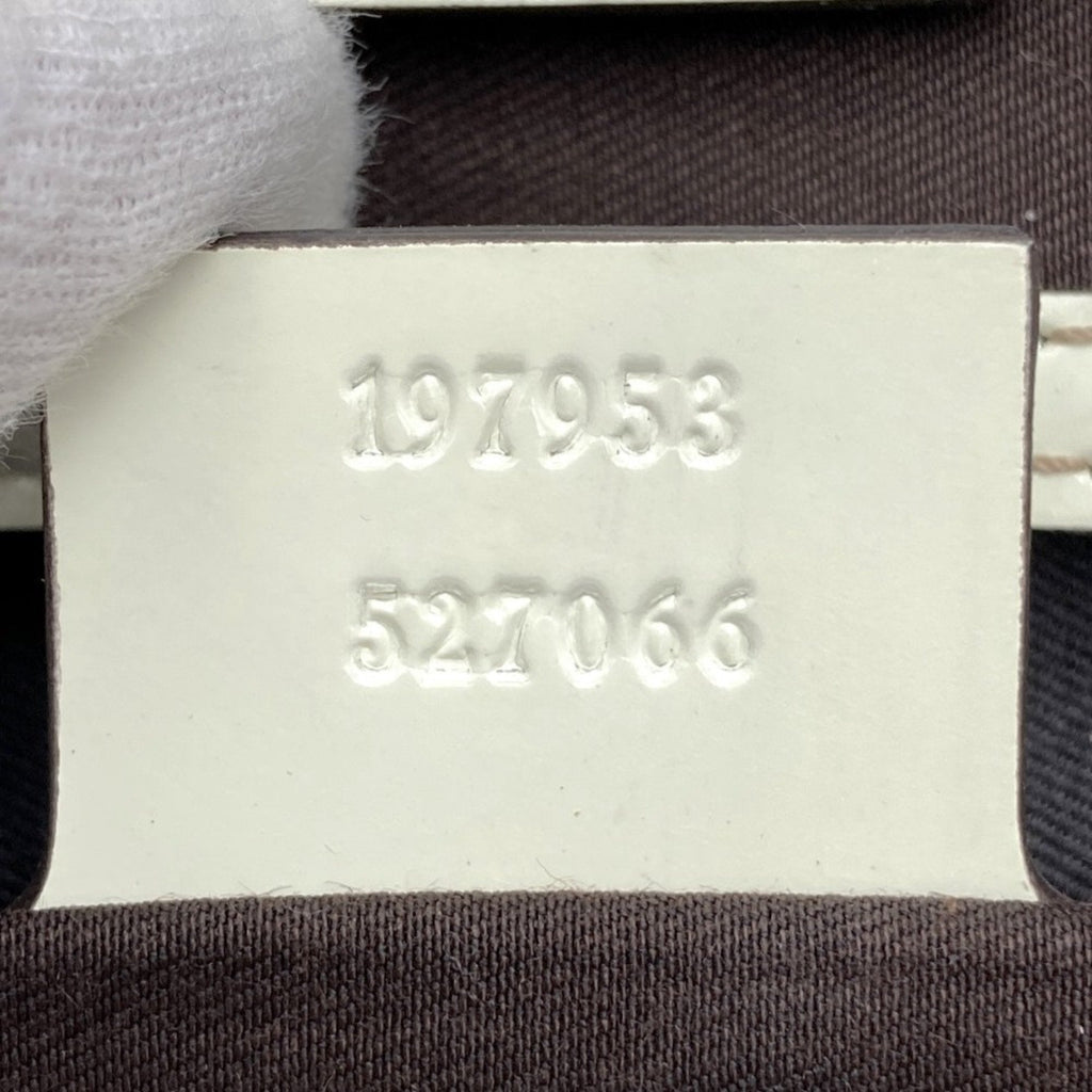 Gucci GG canvas