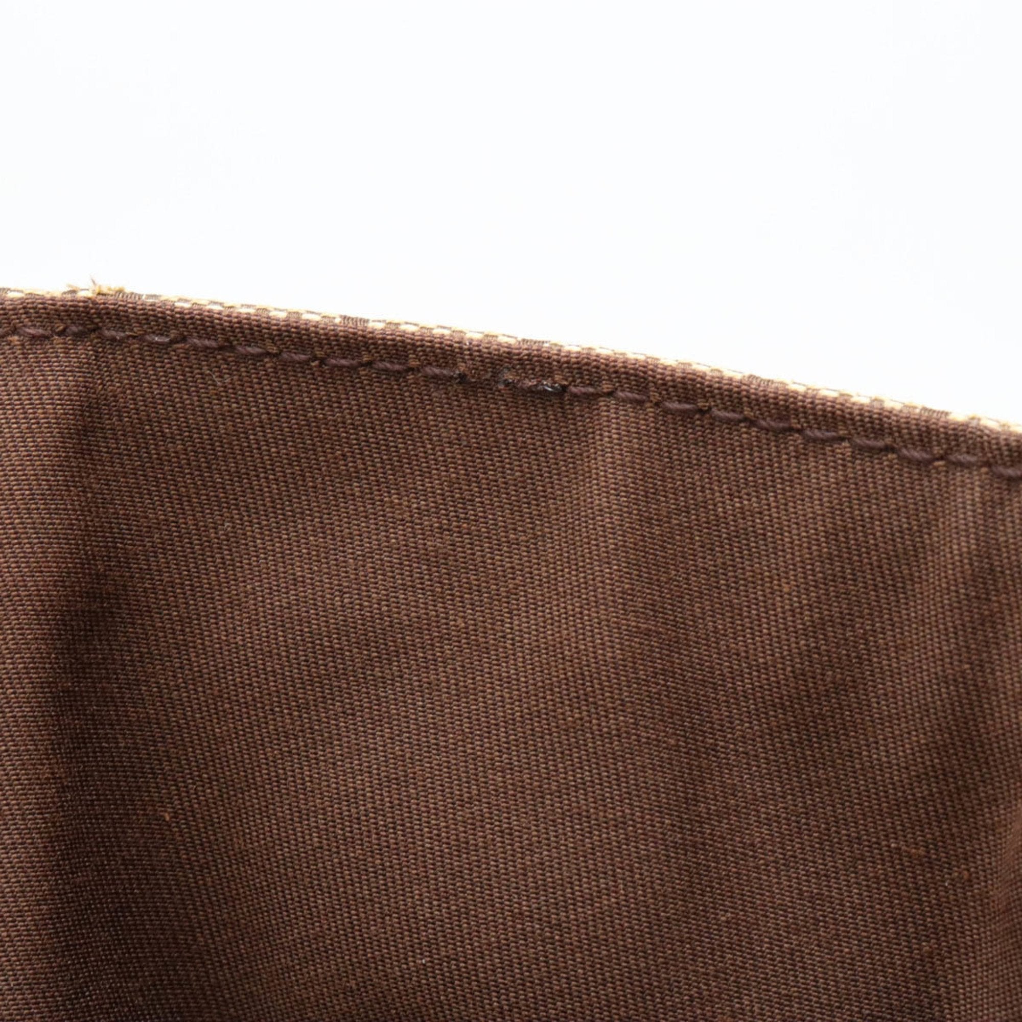 Gucci GG canvas