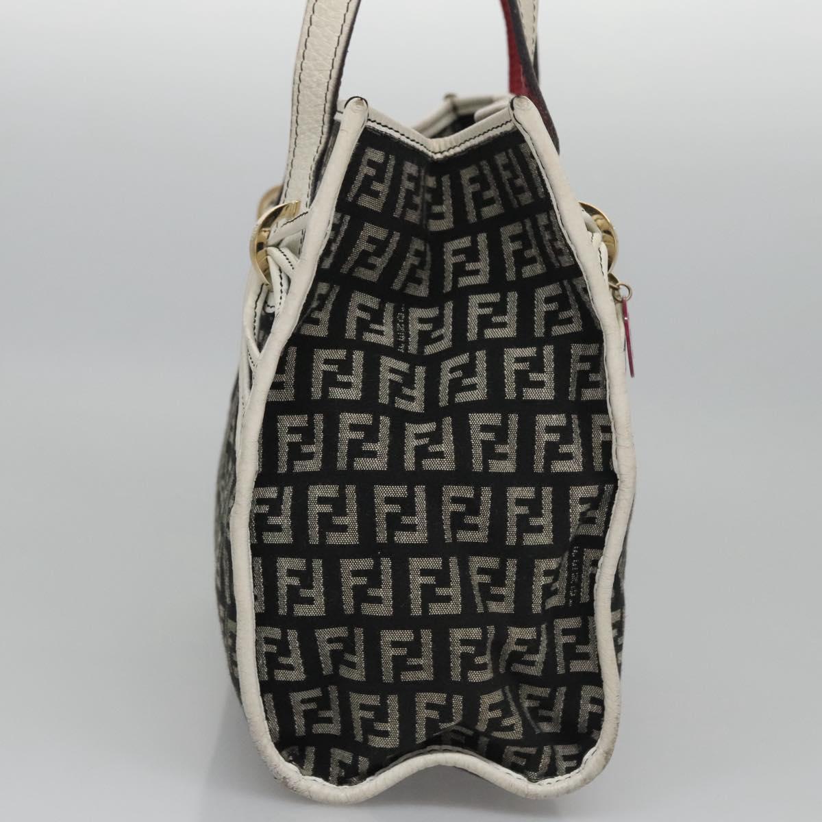 FENDI Zucchino Canvas Hand Bag Black 112924