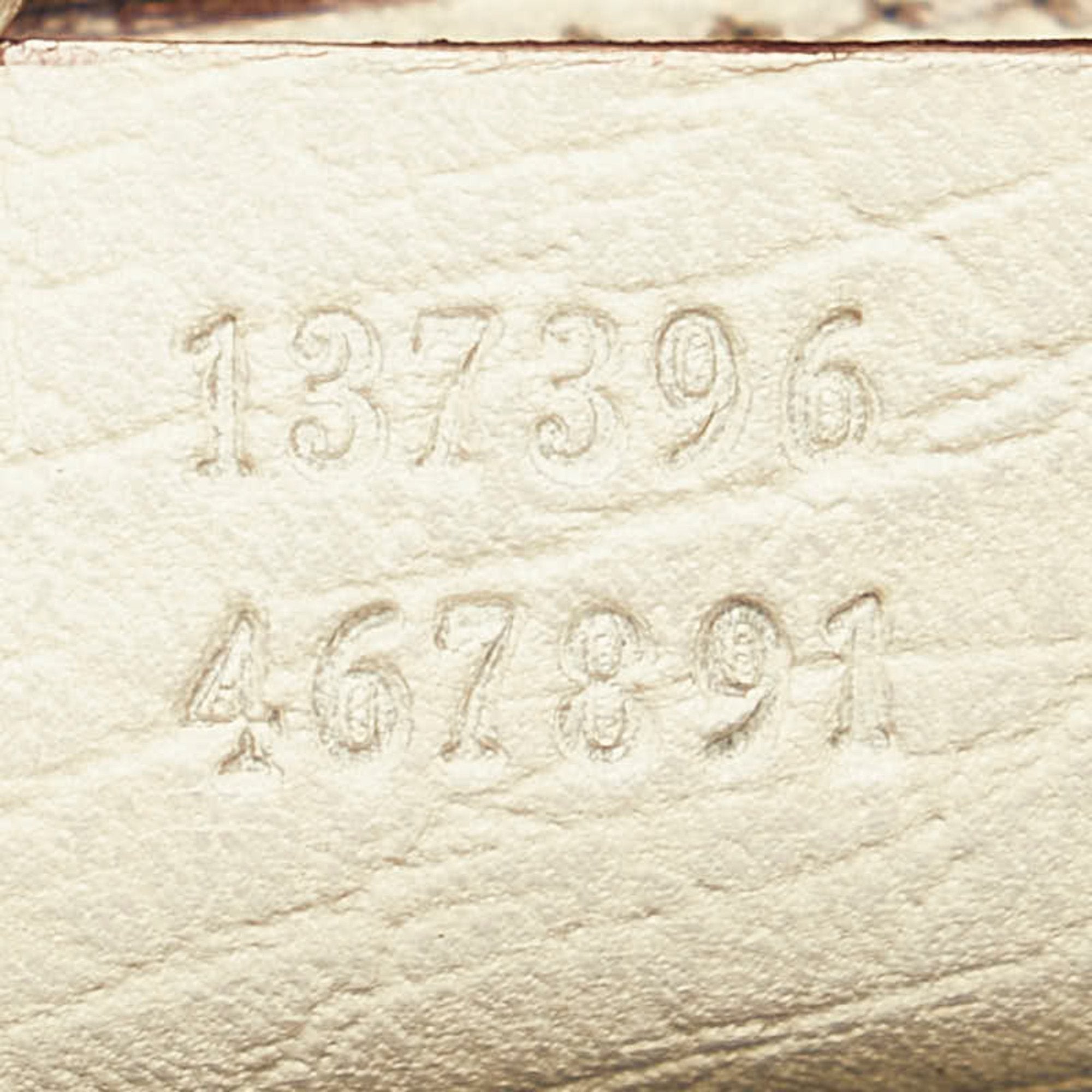 Gucci GG canvas