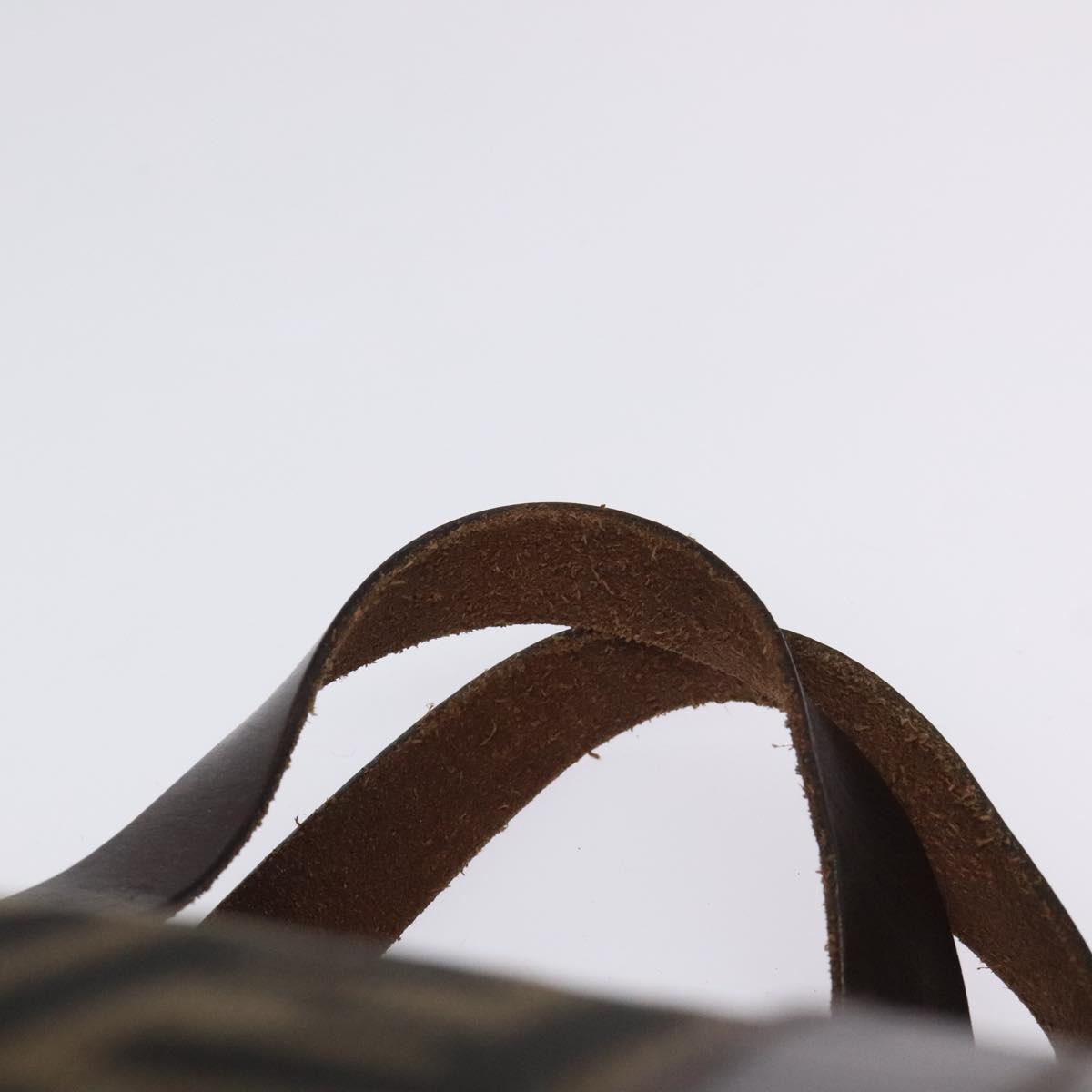 FENDI Zucca Canvas Hand Bag Brown Black 114416