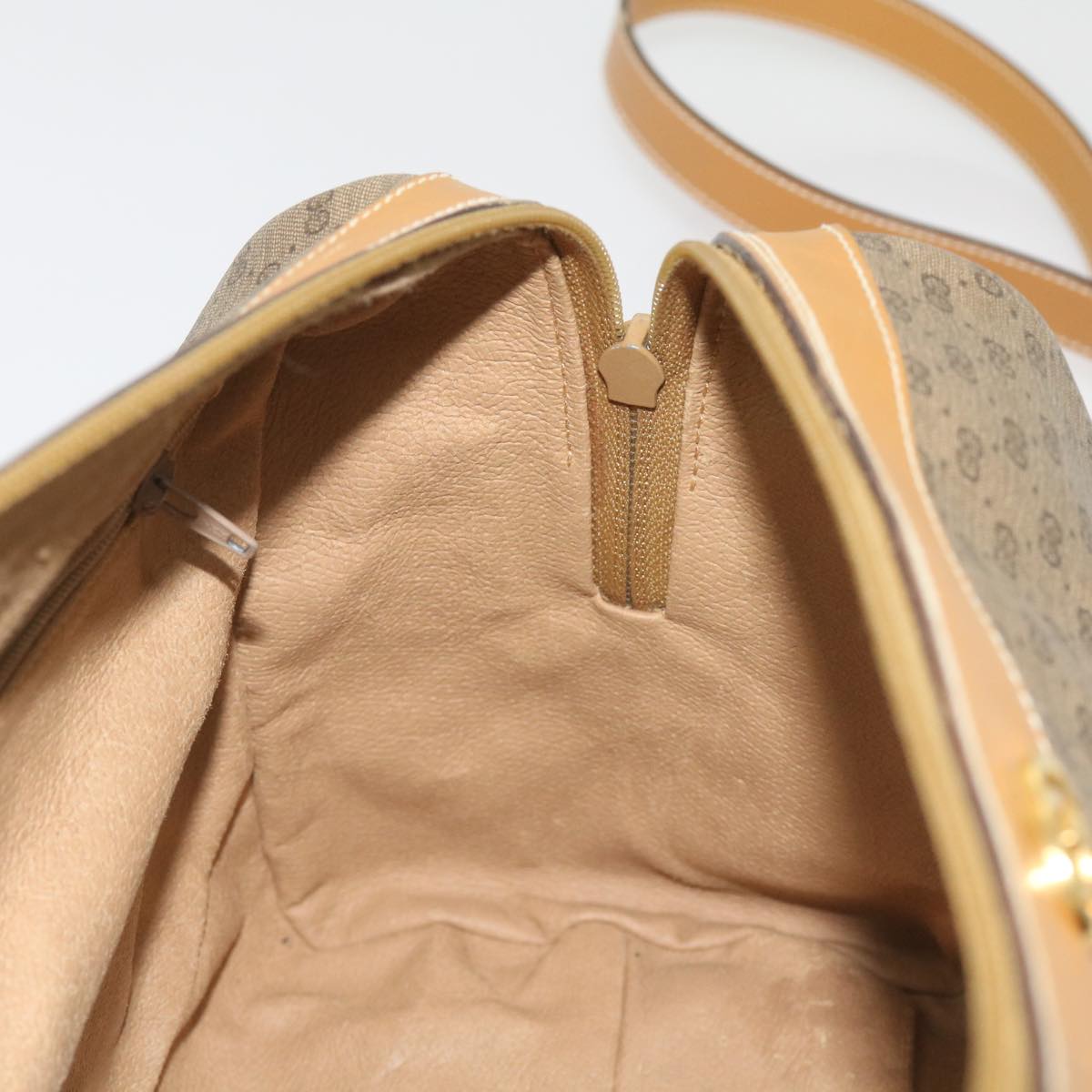 Gucci GG canvas