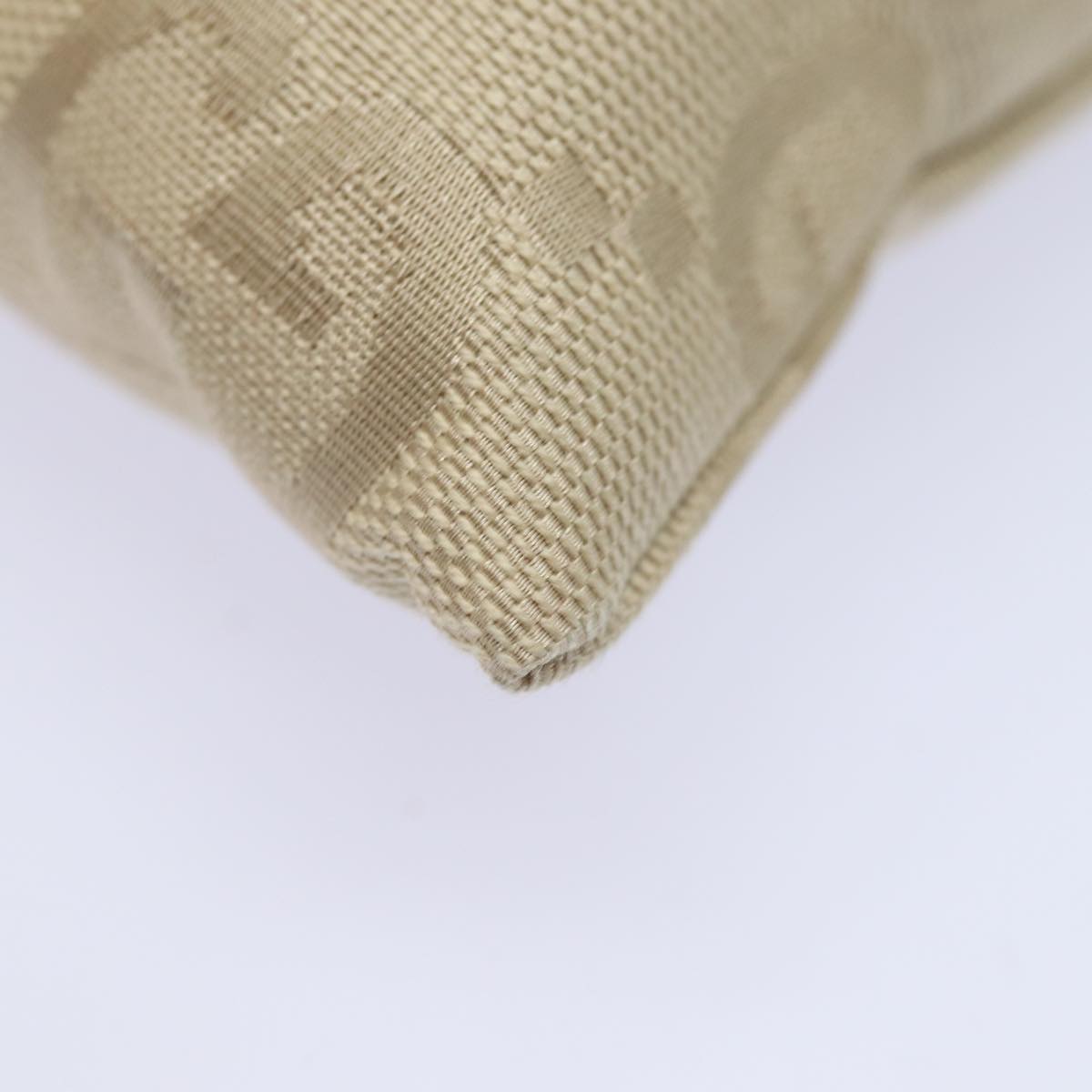 Gucci GG canvas