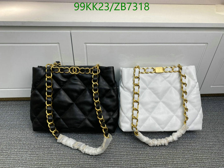 SAMC - CHL Bags Handbags - 038