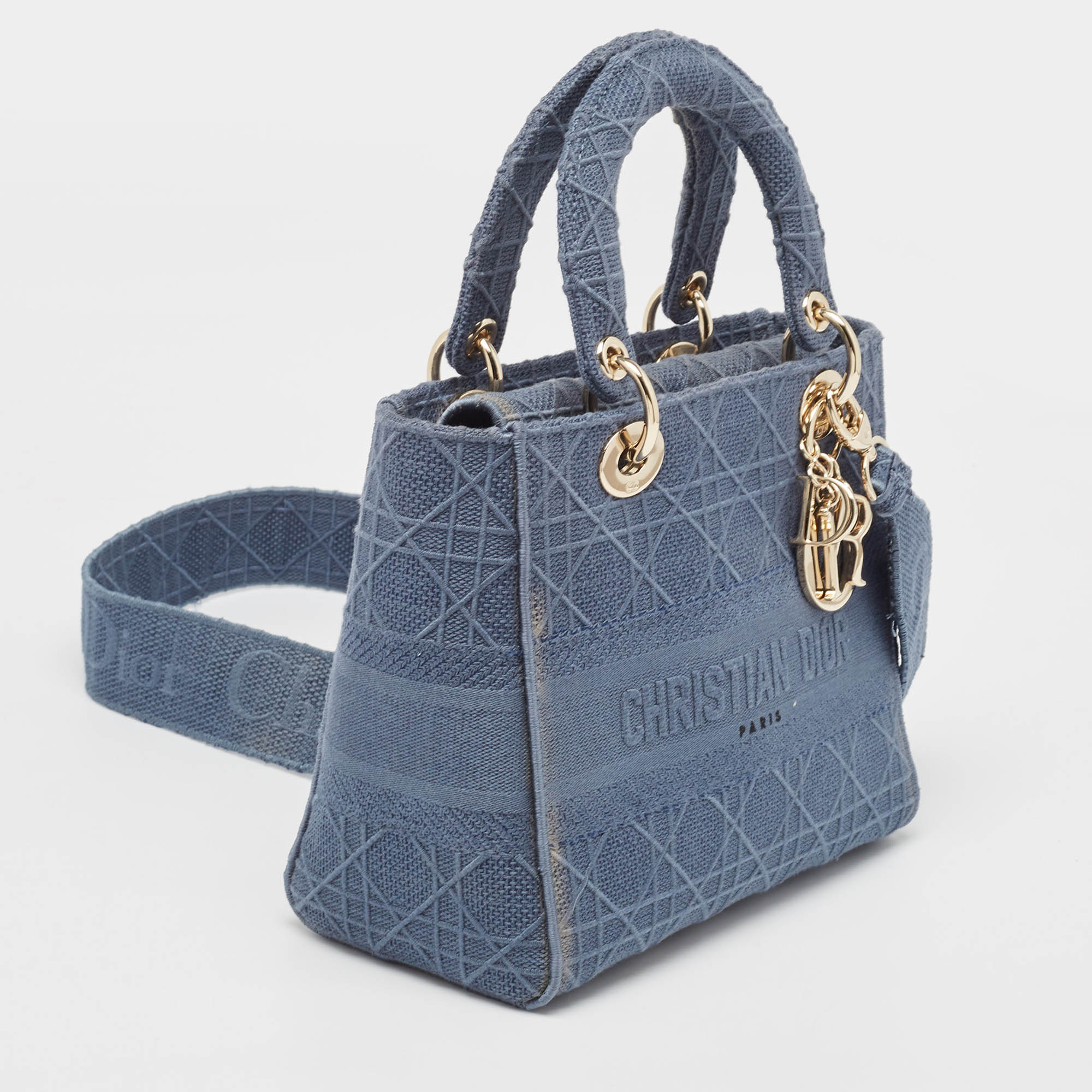 Dior Cannage Embroidered Canvas Medium Lady D-Lite Tote