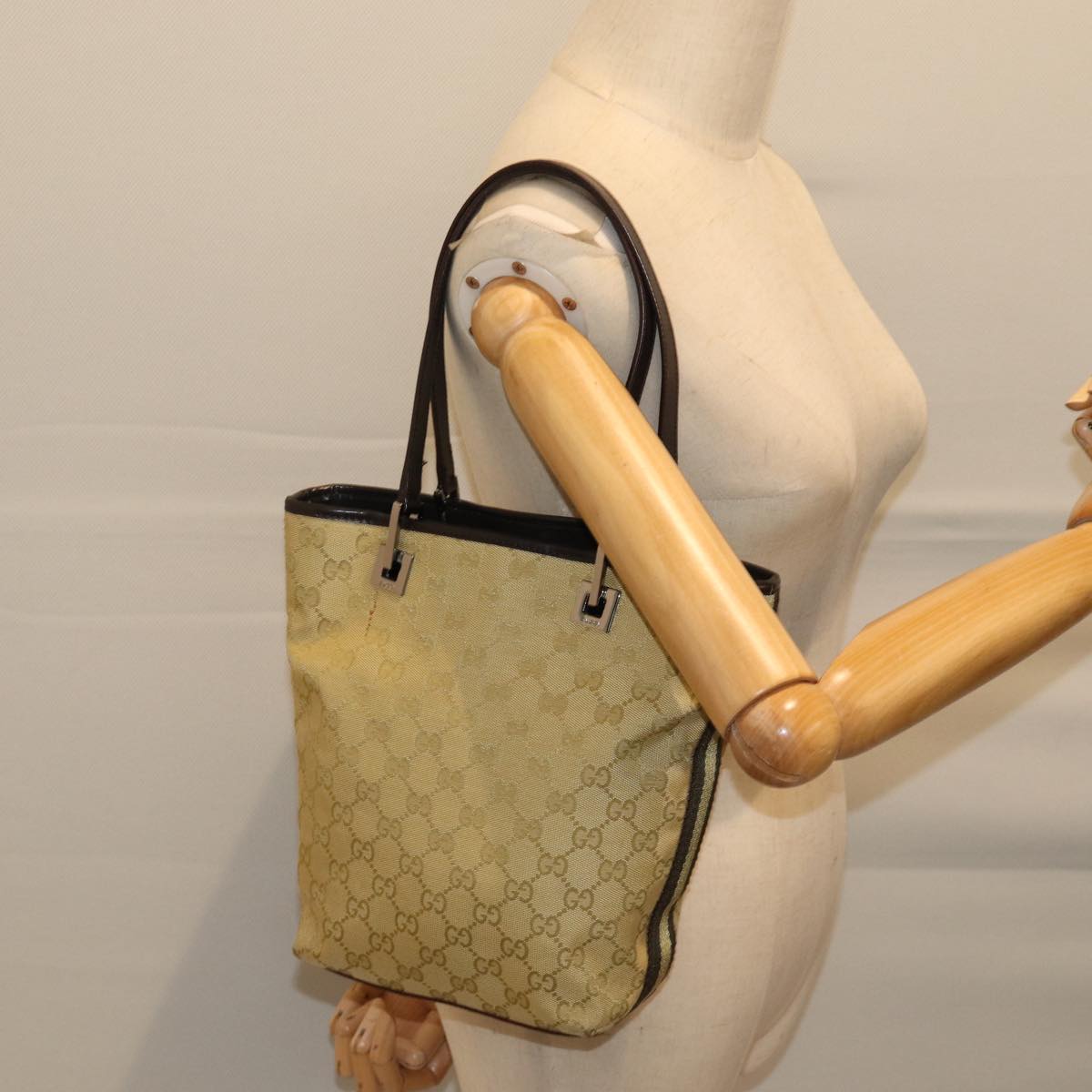 Gucci GG canvas