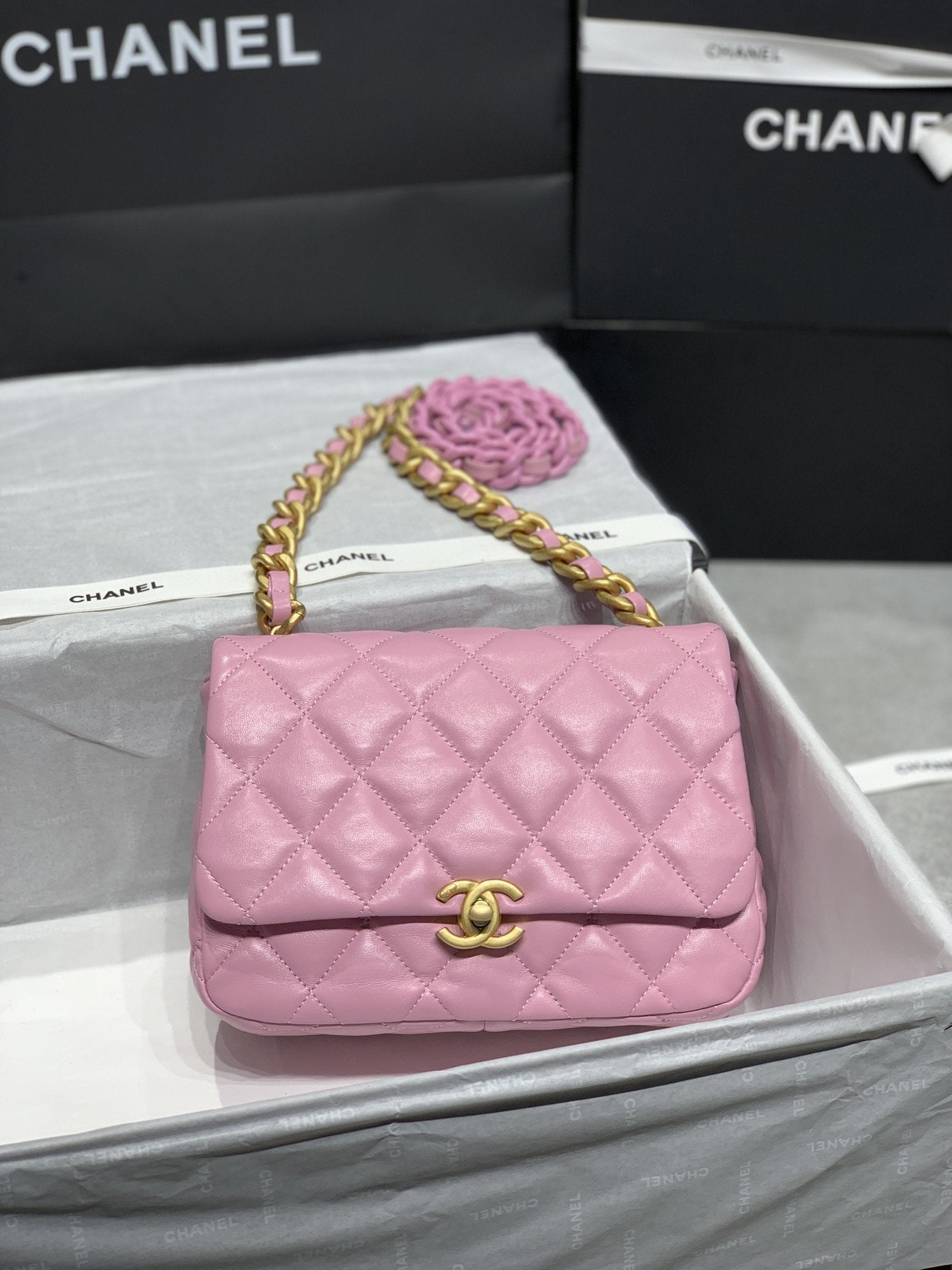 CHLSmall Flap Bag Gold-Tone Metal PiNike Bag For Women 16cm/6.2in