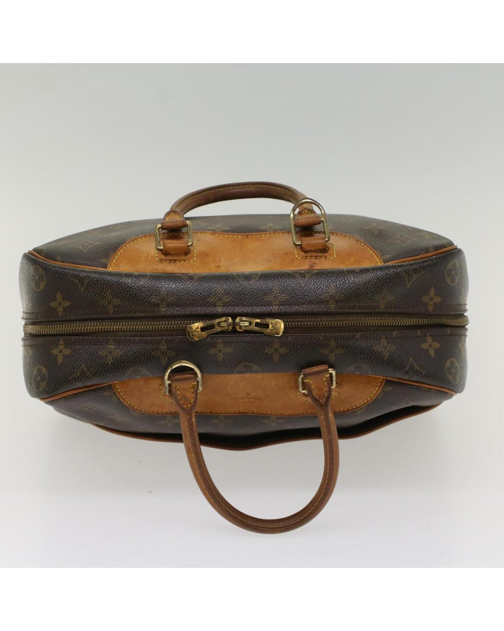 Monogram Canvas Hand Bag