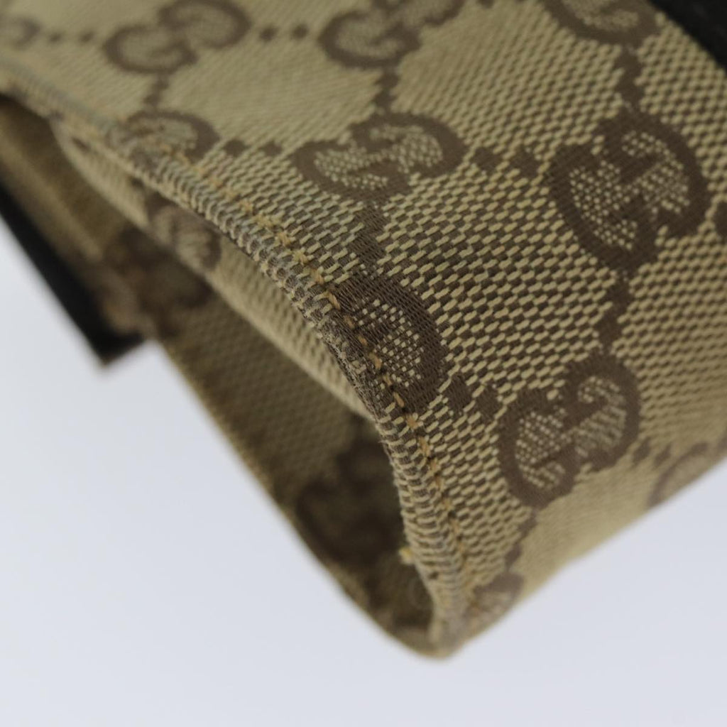 Gucci GG canvas