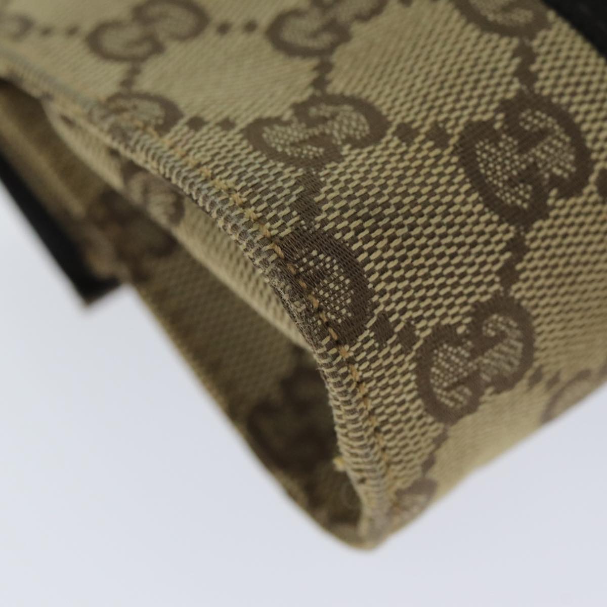 Gucci GG canvas