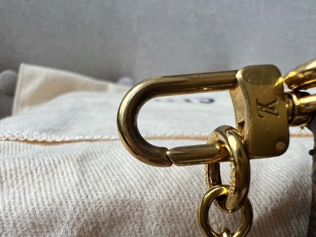 Louis Vuitton Multi Pochette Accessoires Khaki (RRP £1970)
