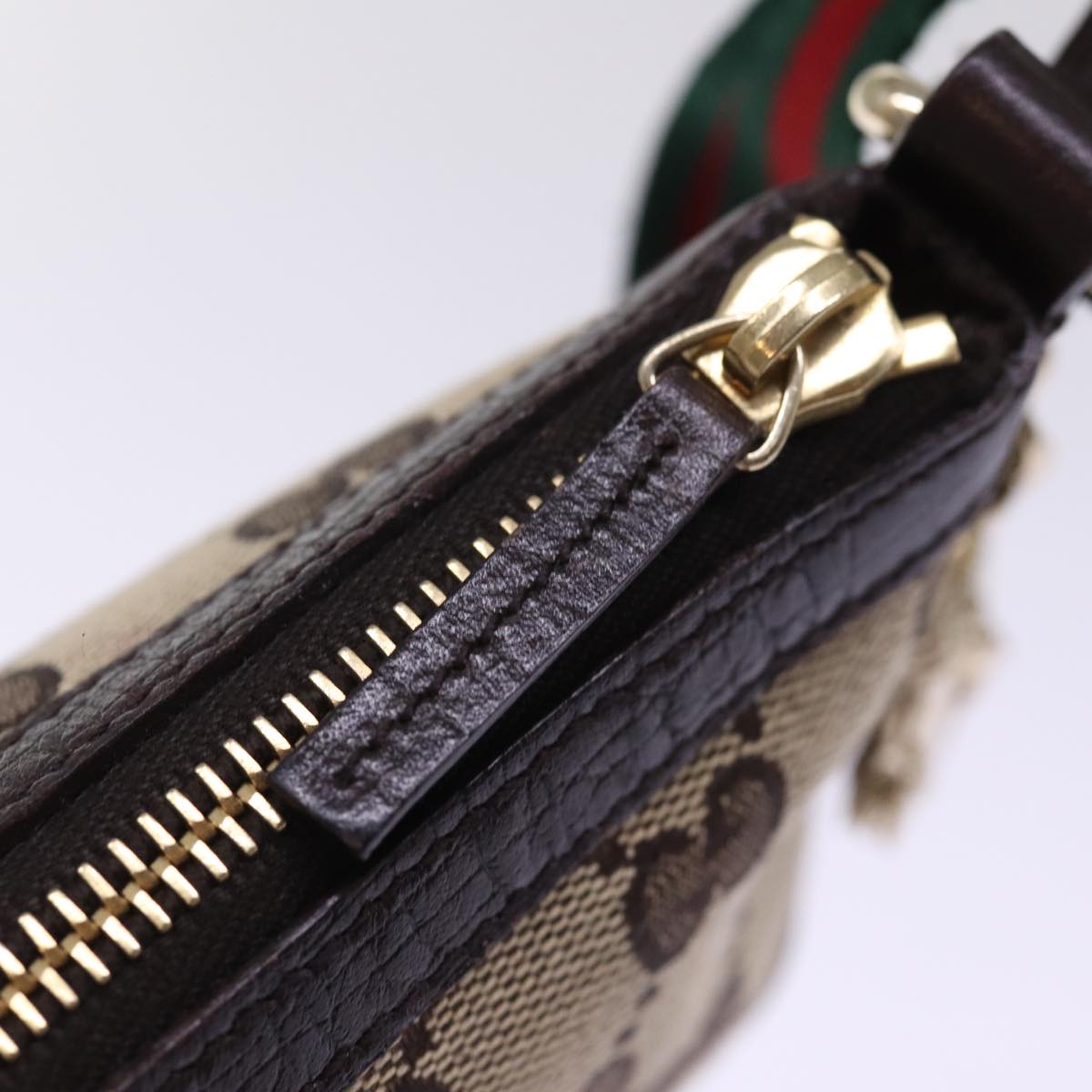 Gucci GG canvas