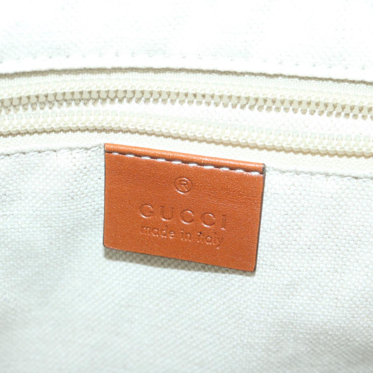 Gucci GG canvas
