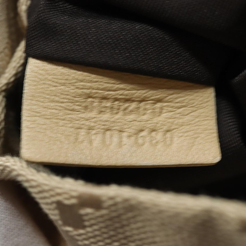 Gucci GG canvas