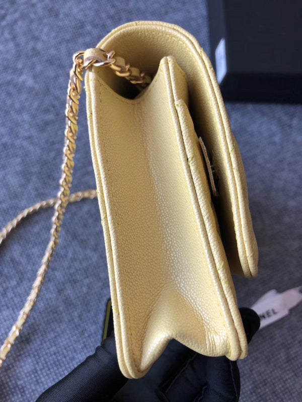 Glami - CHL Bags - 701