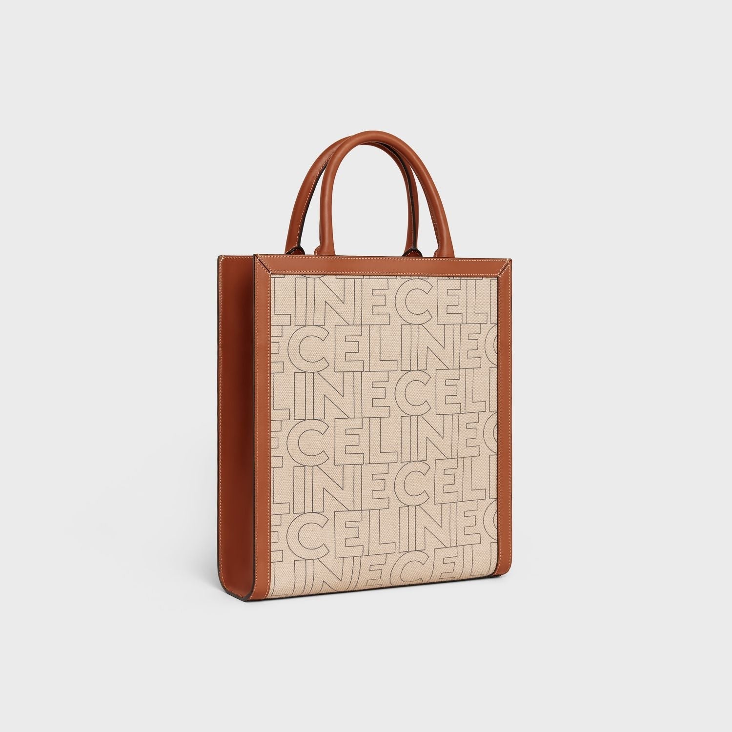 CABAS SMALL VERTICAL TOTE