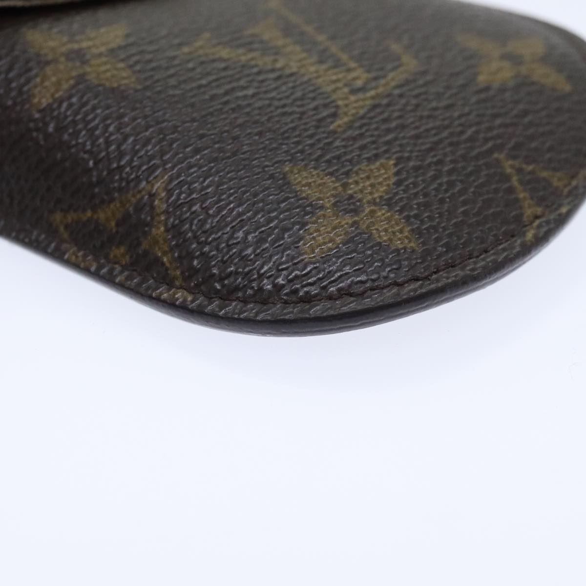 Monogram Canvas Eyeglass Case