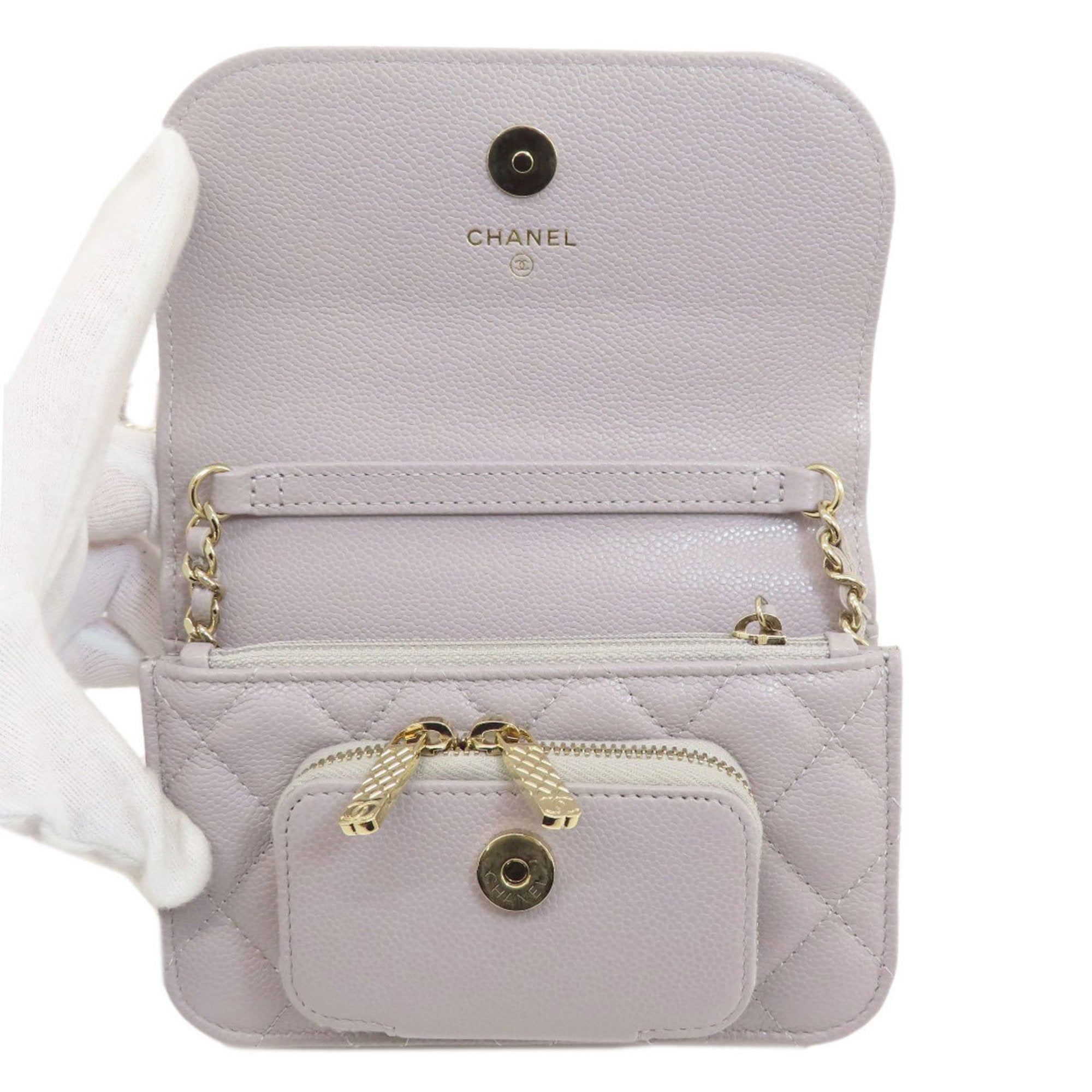 Chanel Mini Flap Bag Quilted Lambskin