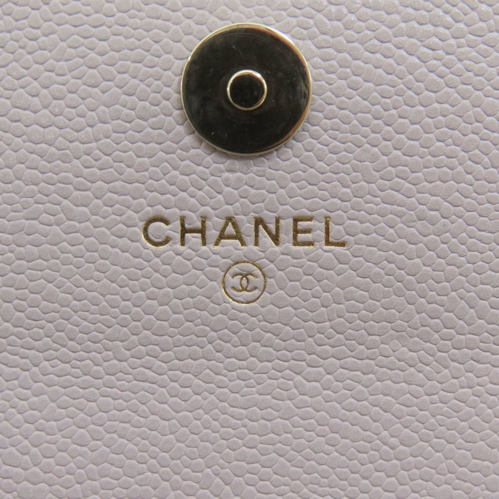 Chanel Mini Flap Bag Quilted Lambskin