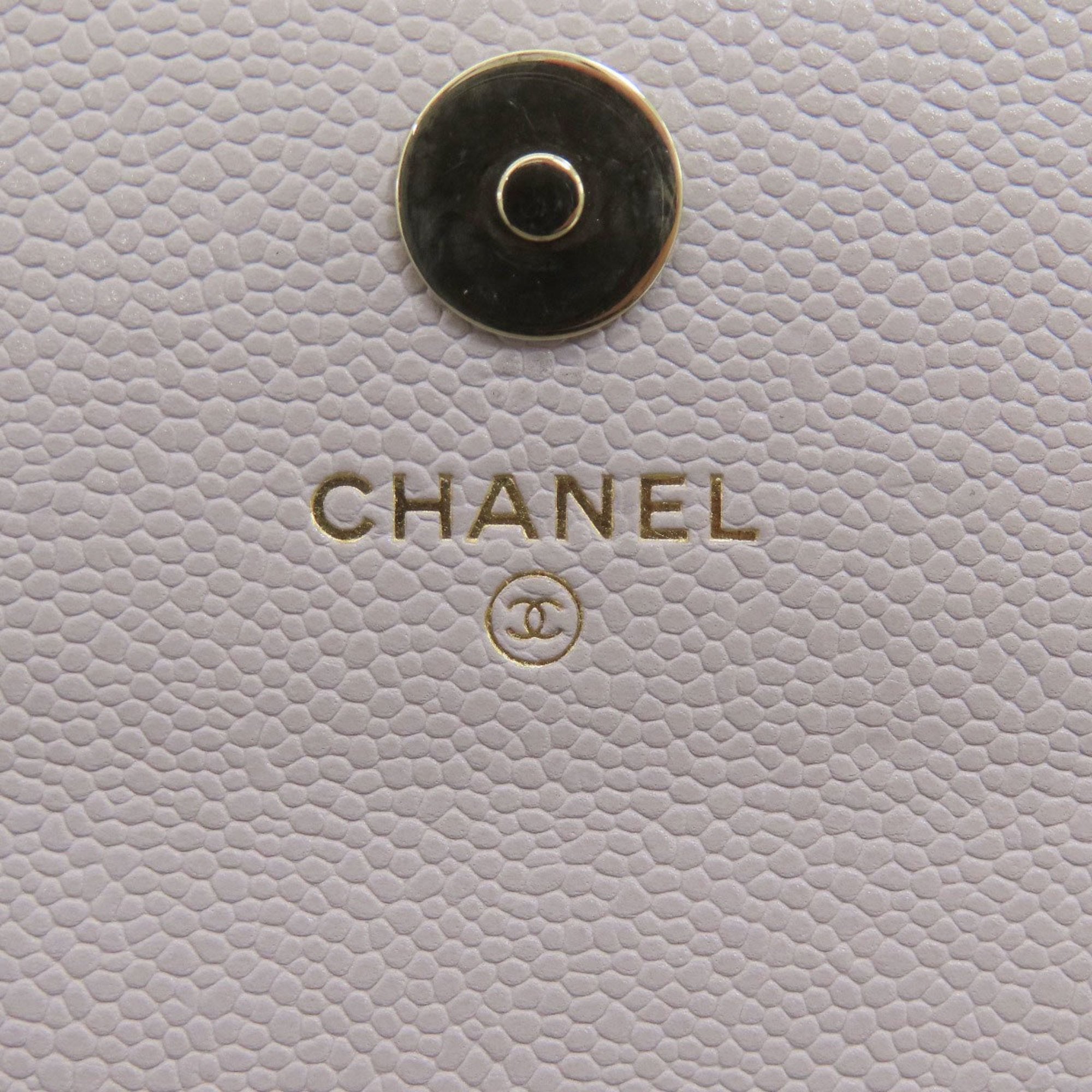 Chanel Mini Flap Bag Quilted Lambskin