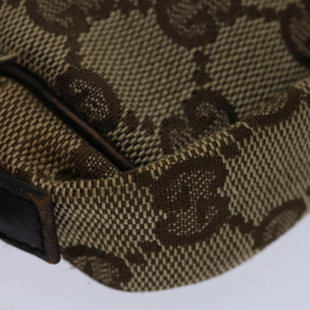 Gucci GG canvas