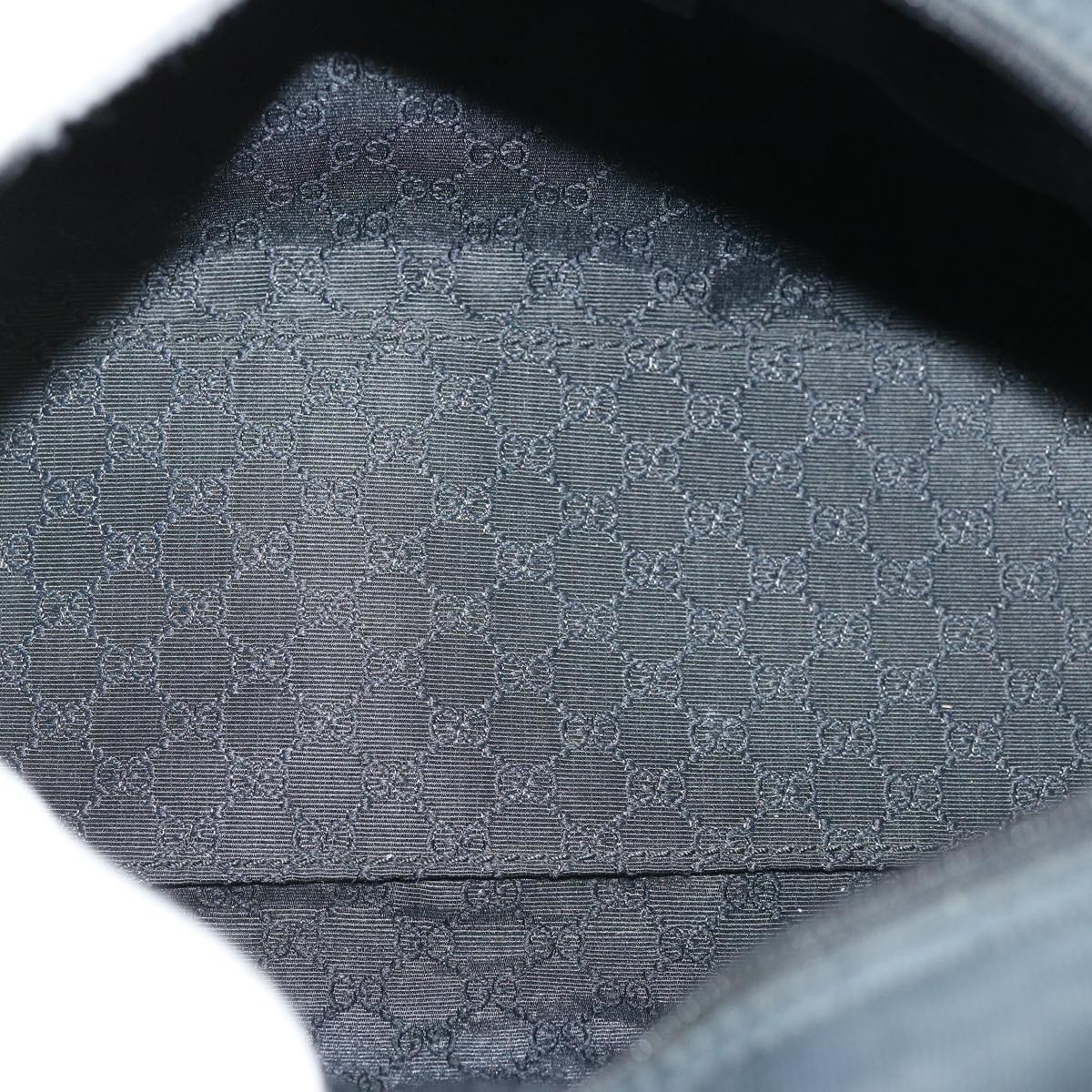 Gucci GG canvas