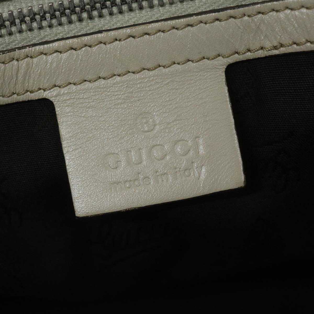 Gucci GG canvas