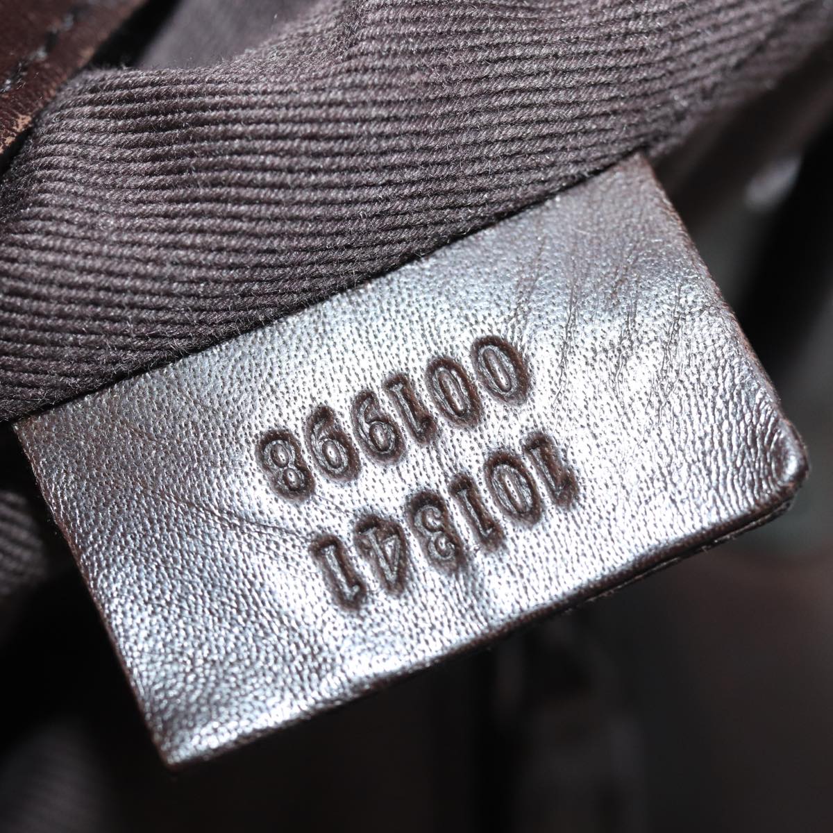 Gucci GG canvas