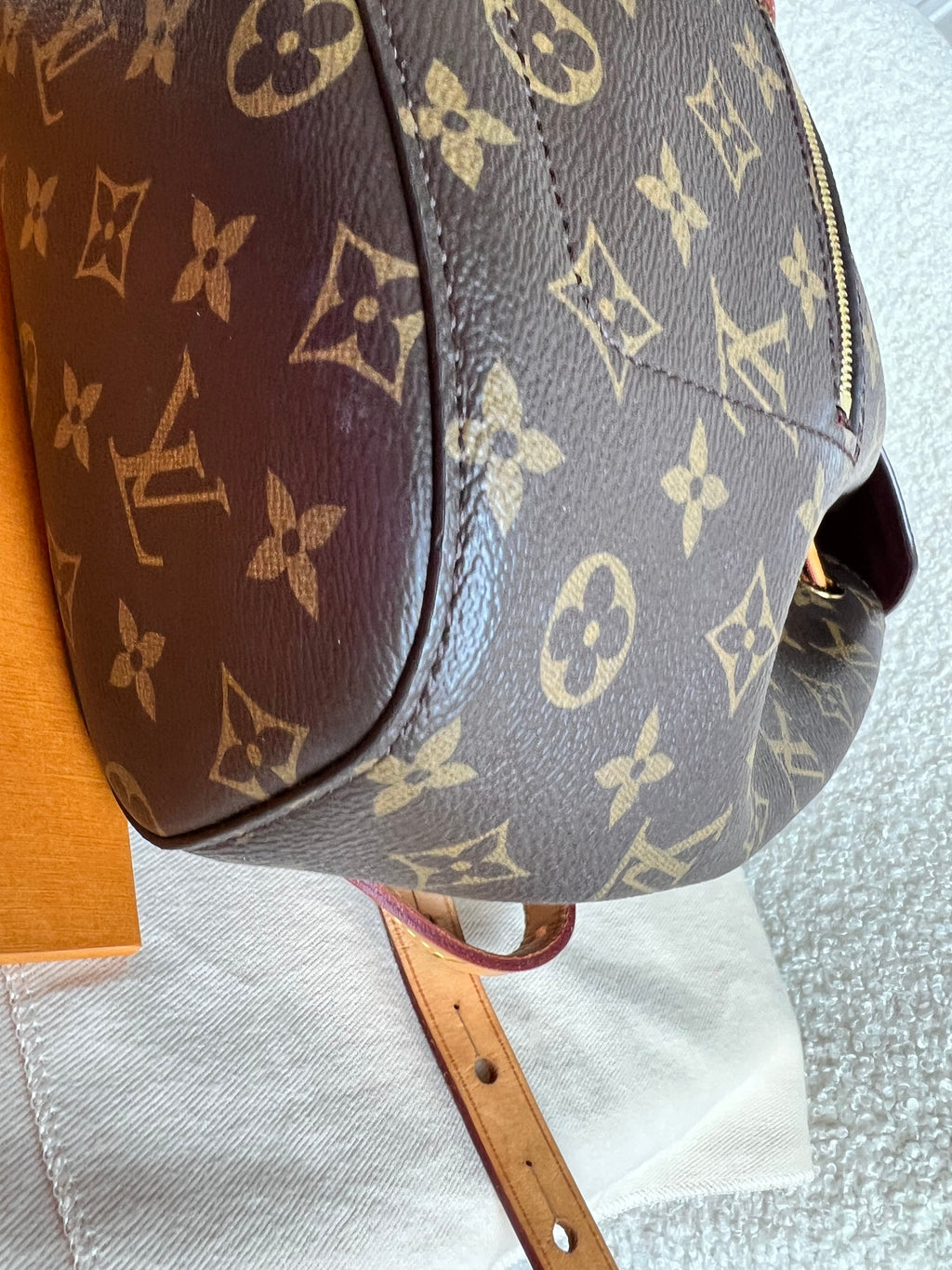 Louis Vuitton Montsouris PM Backpack (£1980)
