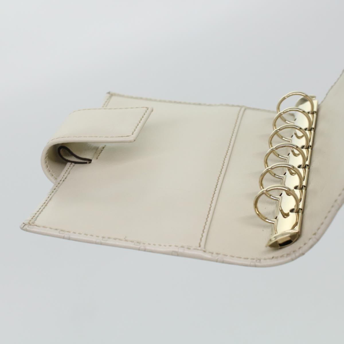 Gucci GG canvas