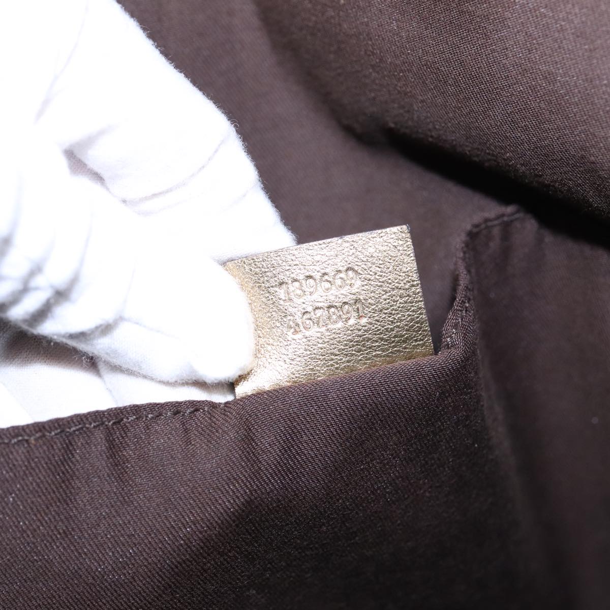 Gucci GG canvas