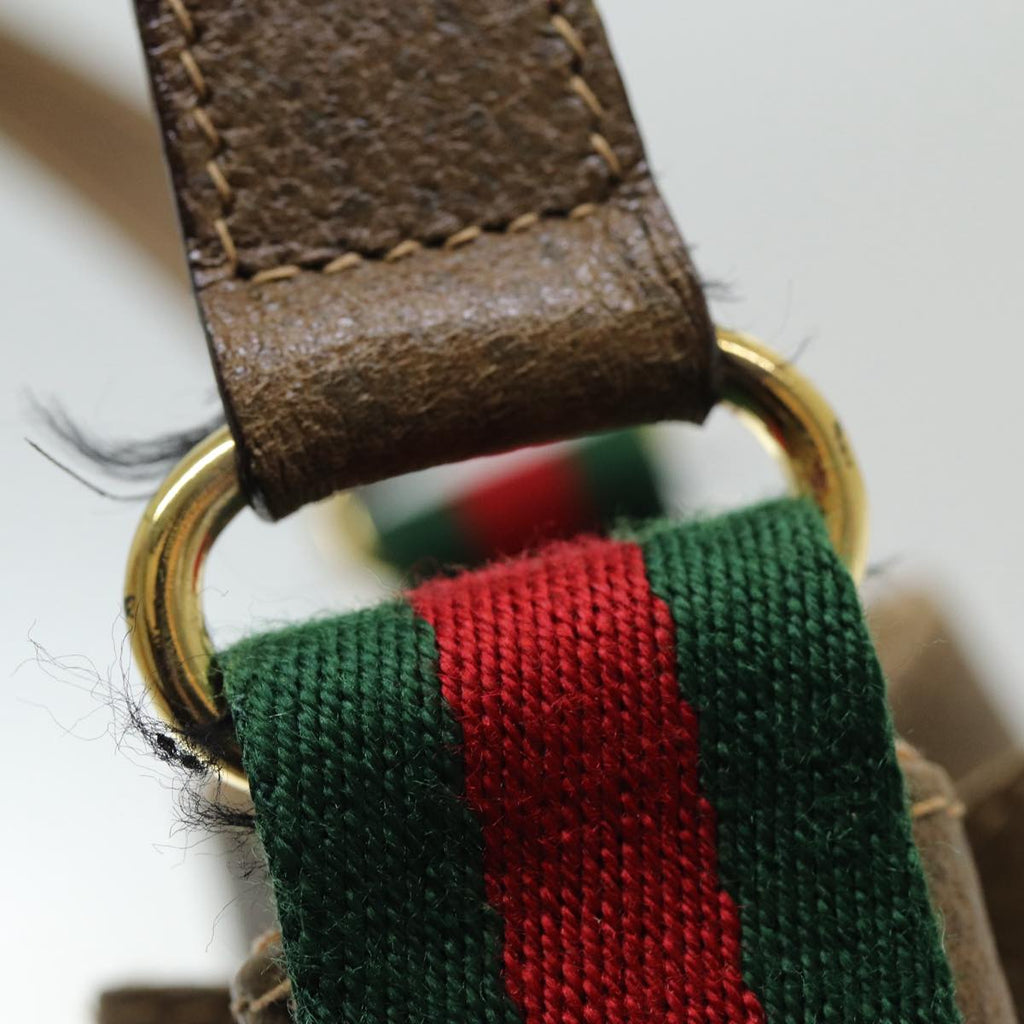 Gucci GG canvas