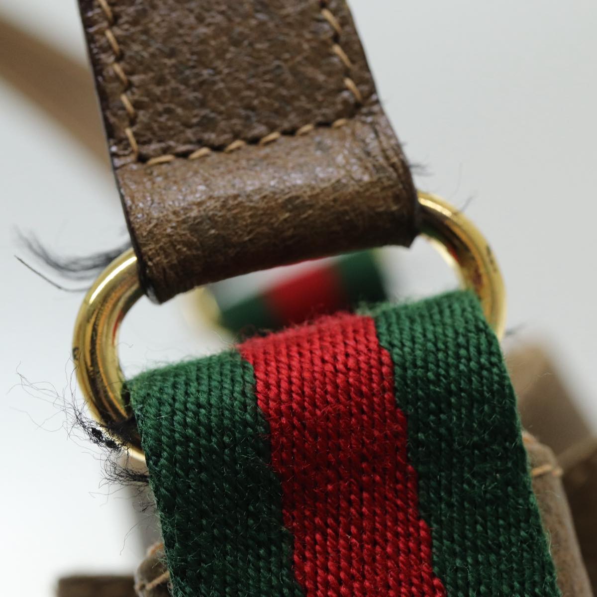 Gucci GG canvas