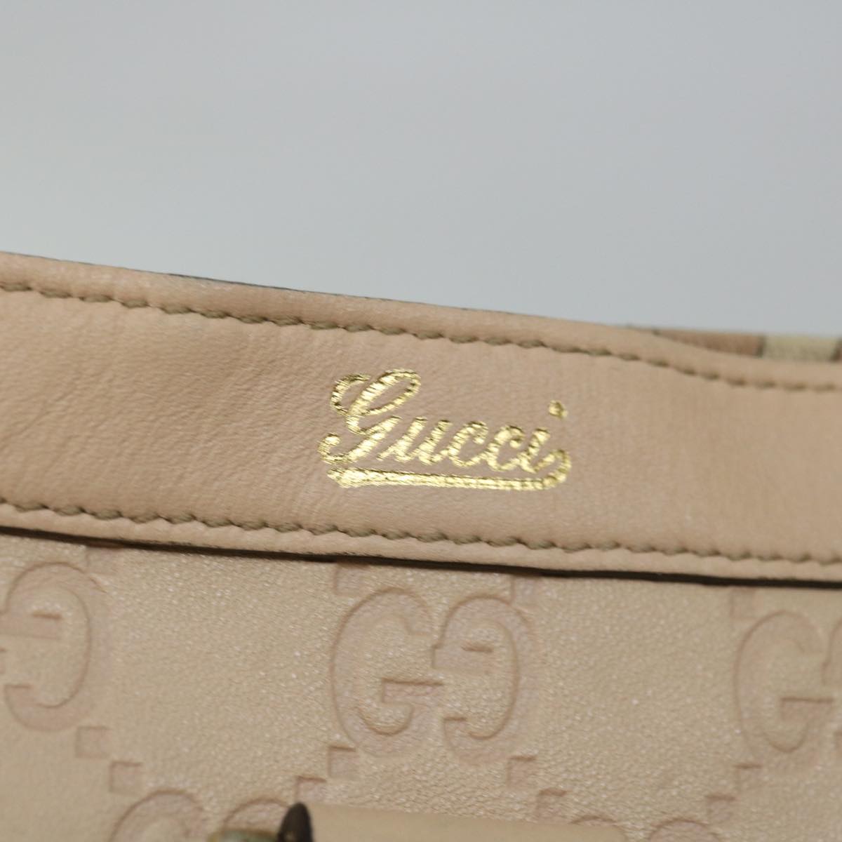 Gucci GG canvas