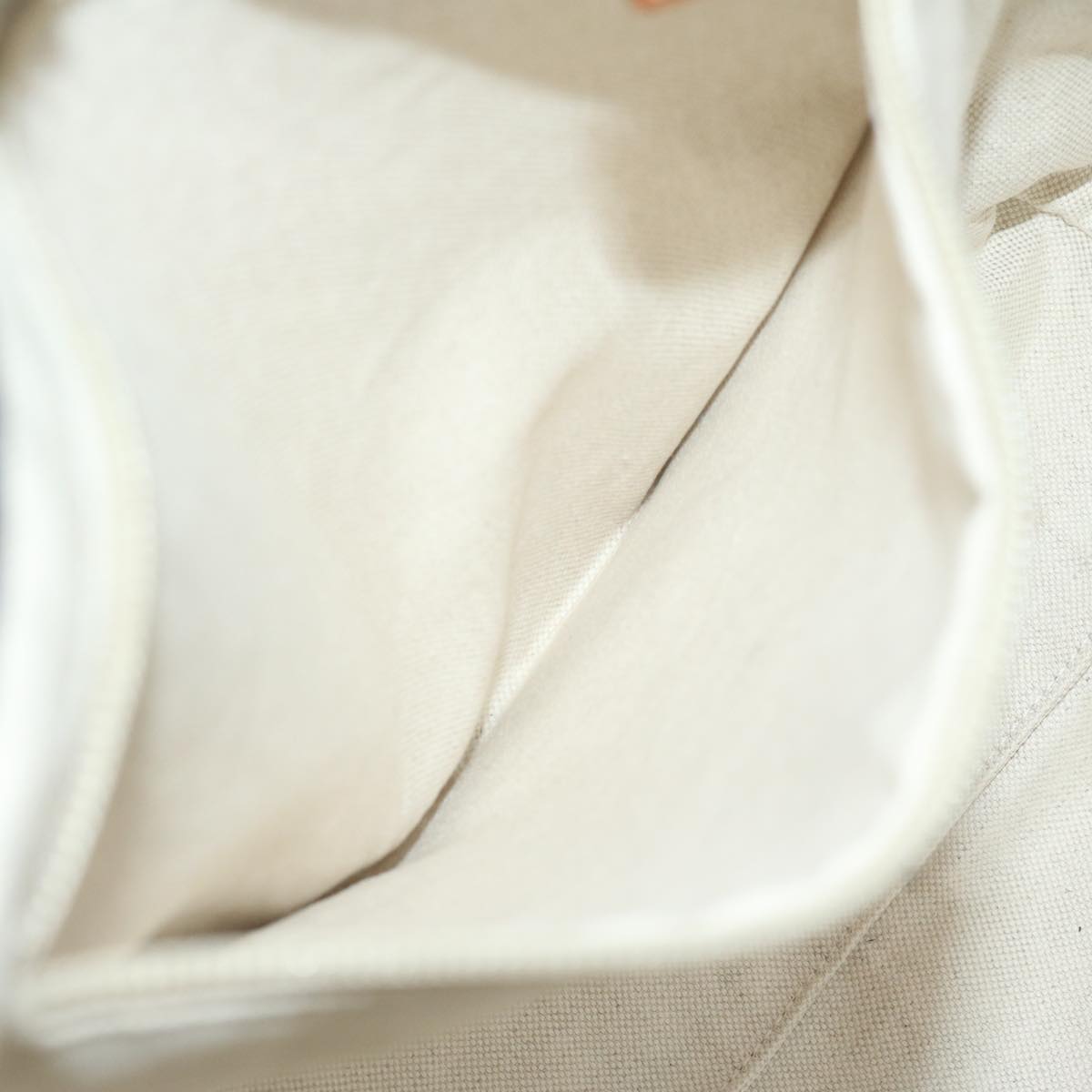 Gucci GG canvas