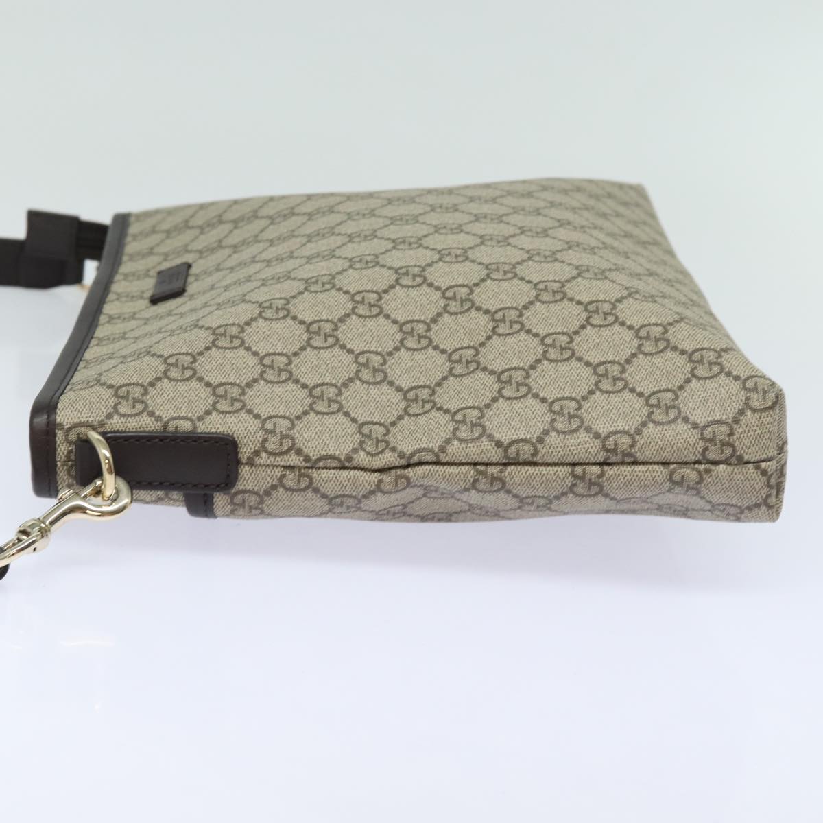 Gucci GG canvas