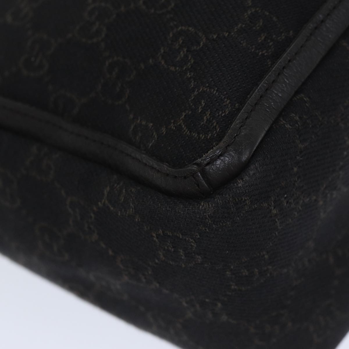 Gucci GG canvas