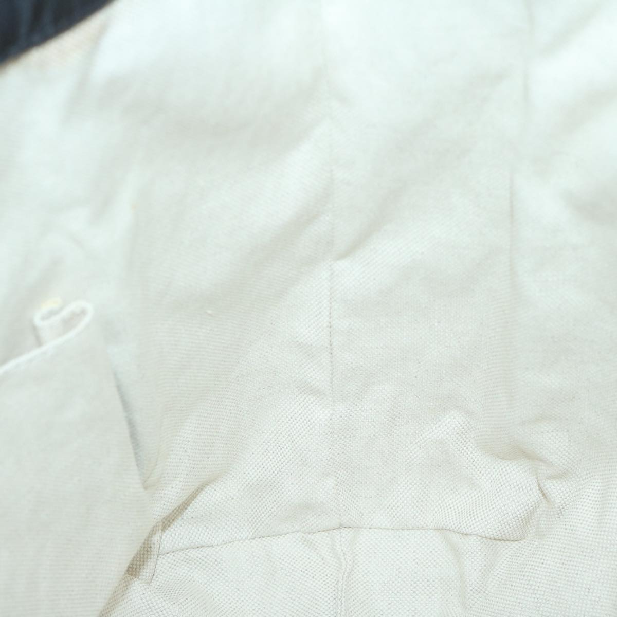 Gucci GG canvas