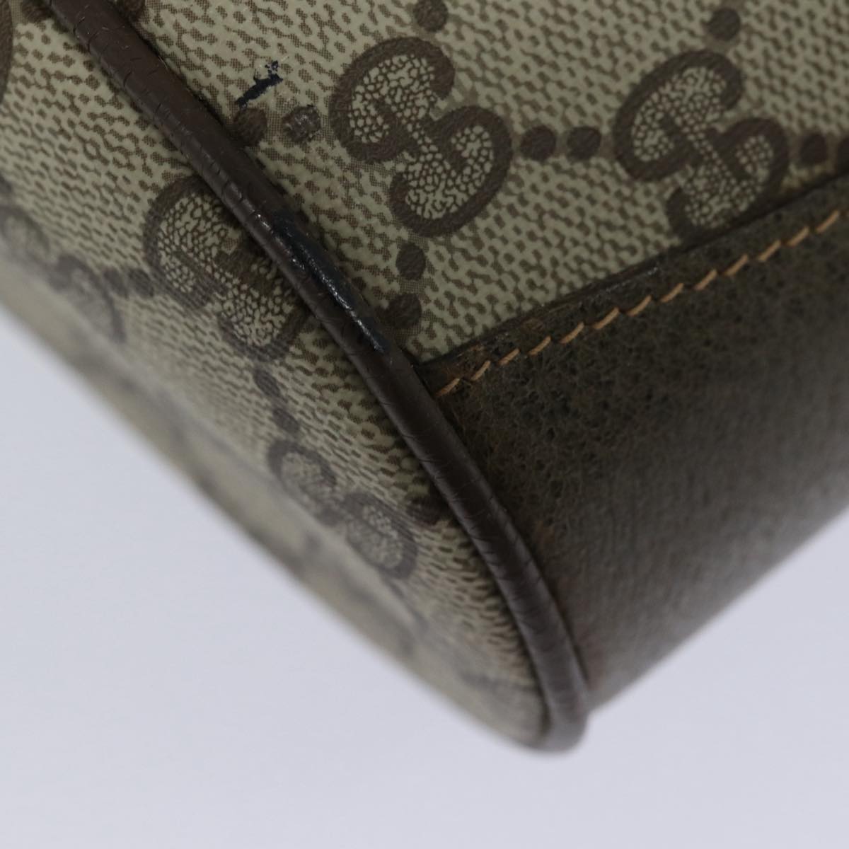 Gucci GG canvas