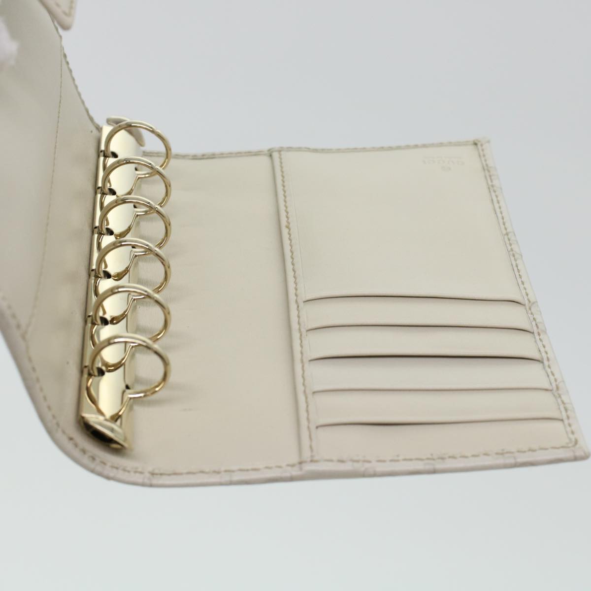 Gucci GG canvas