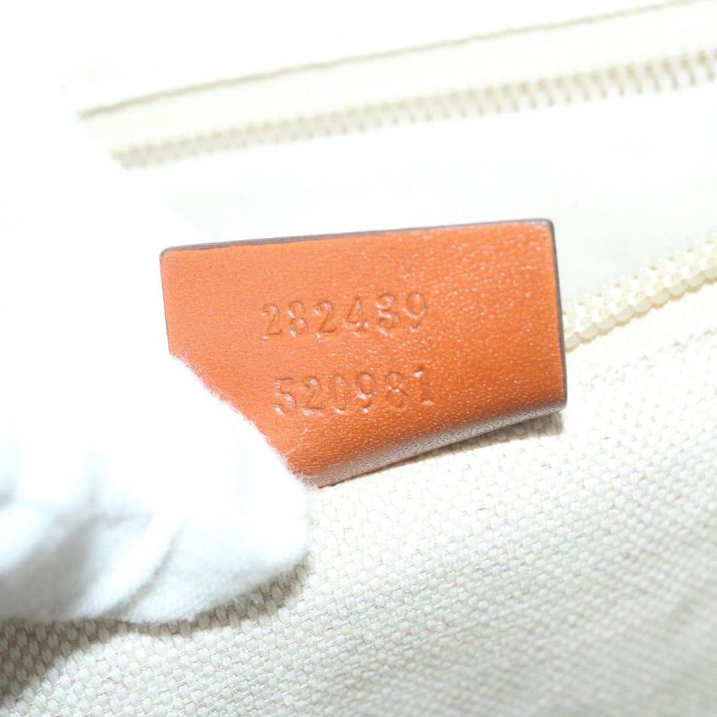 Gucci GG canvas