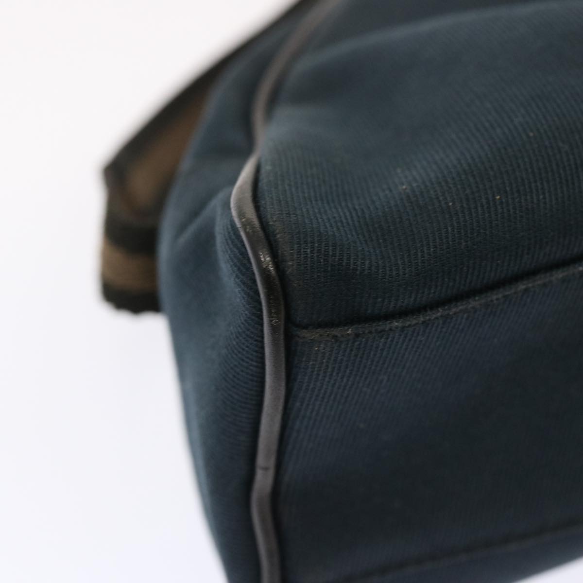 Gucci GG canvas