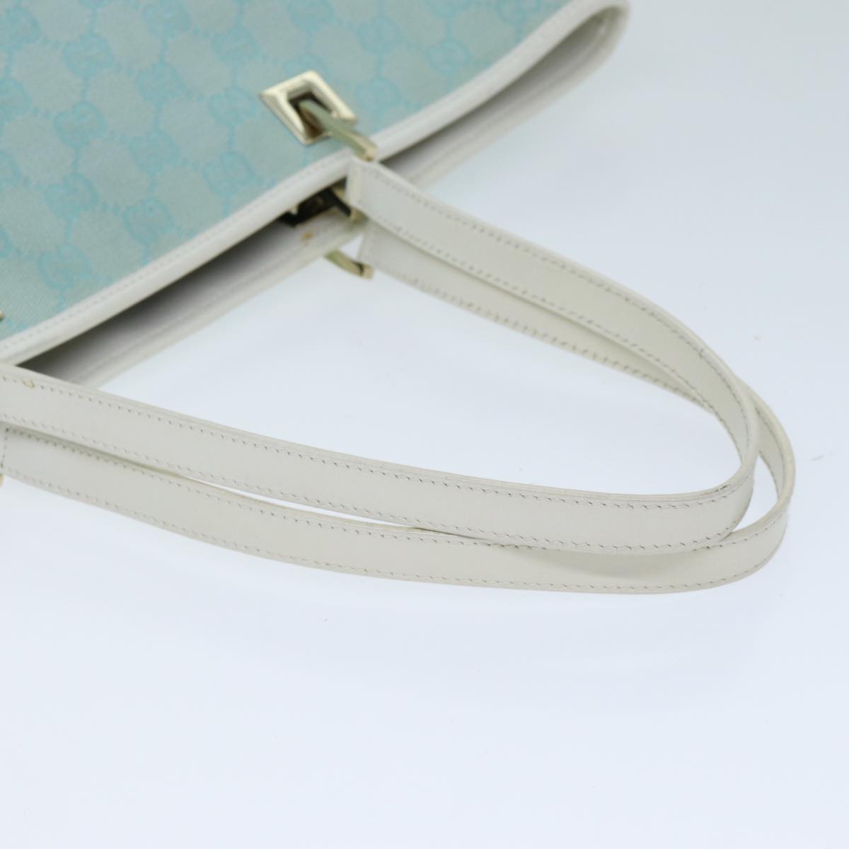 Gucci GG canvas
