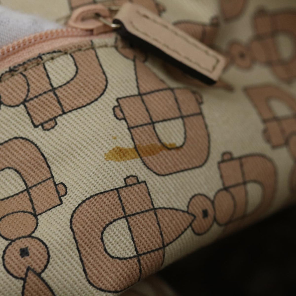 Gucci GG canvas